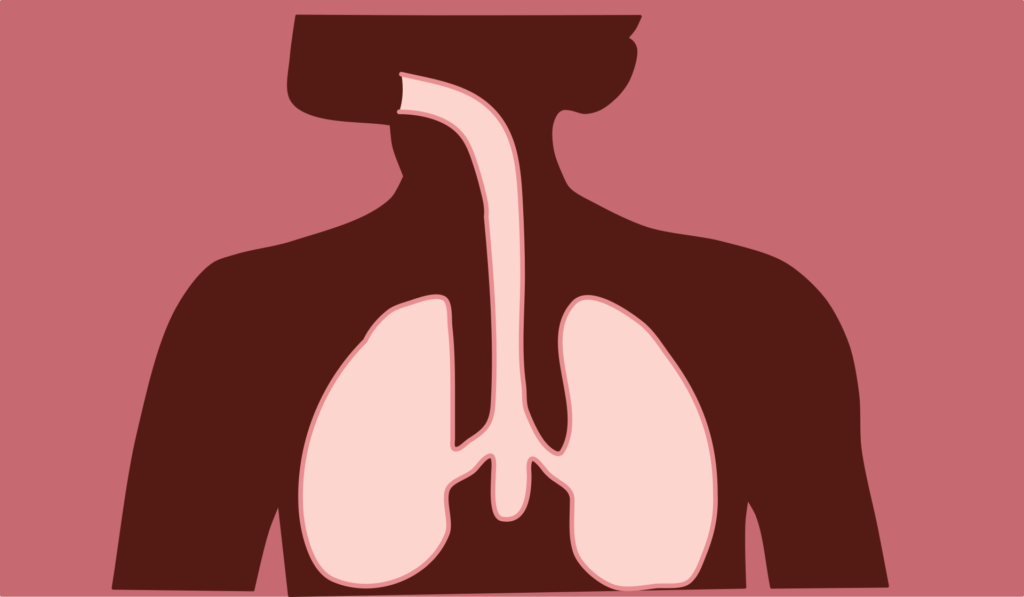 fizjoterapia oddechowa wspomaga leczenie płuc.